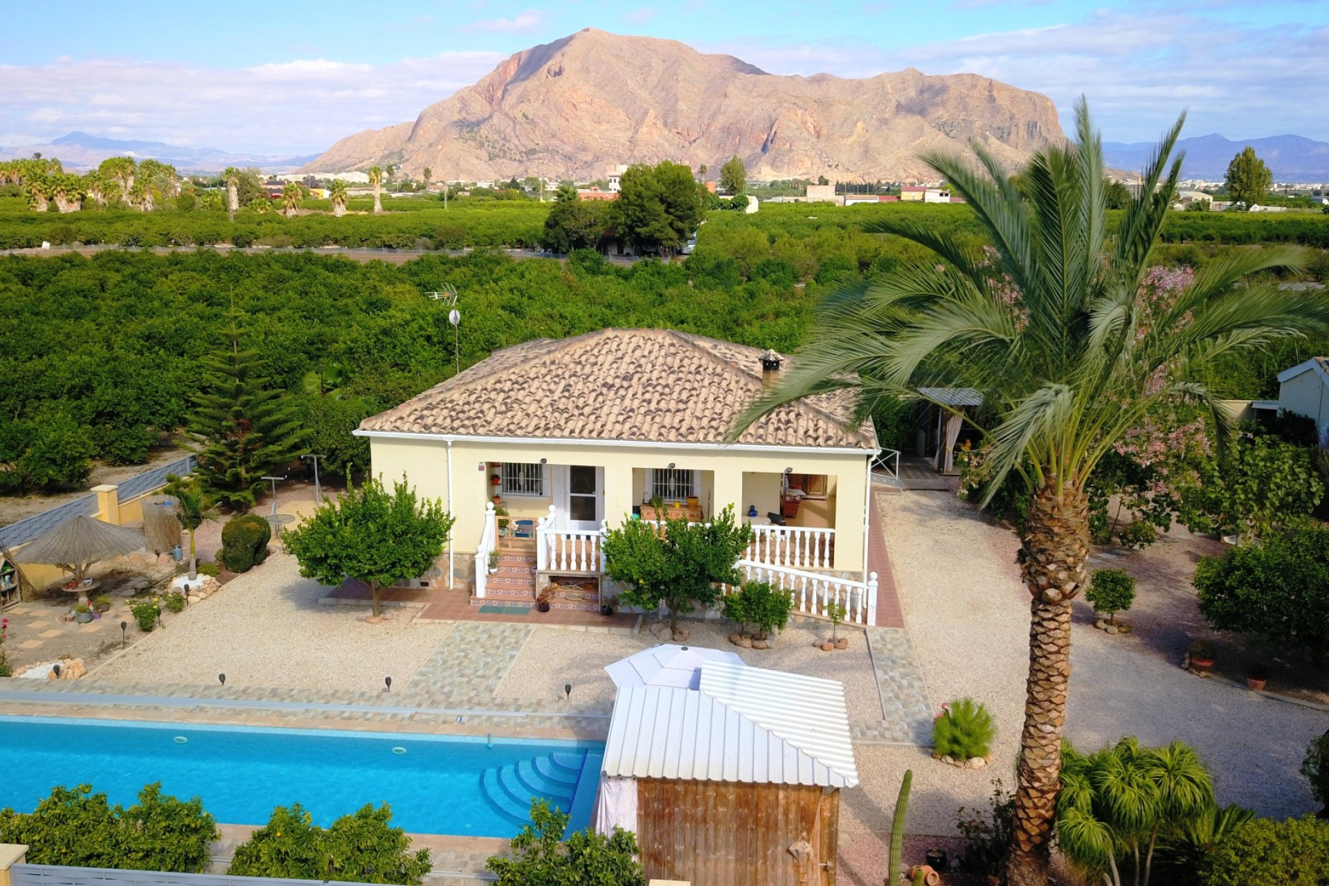 Reventa - 7. Finca - Orihuela - Costa Blanca Sur