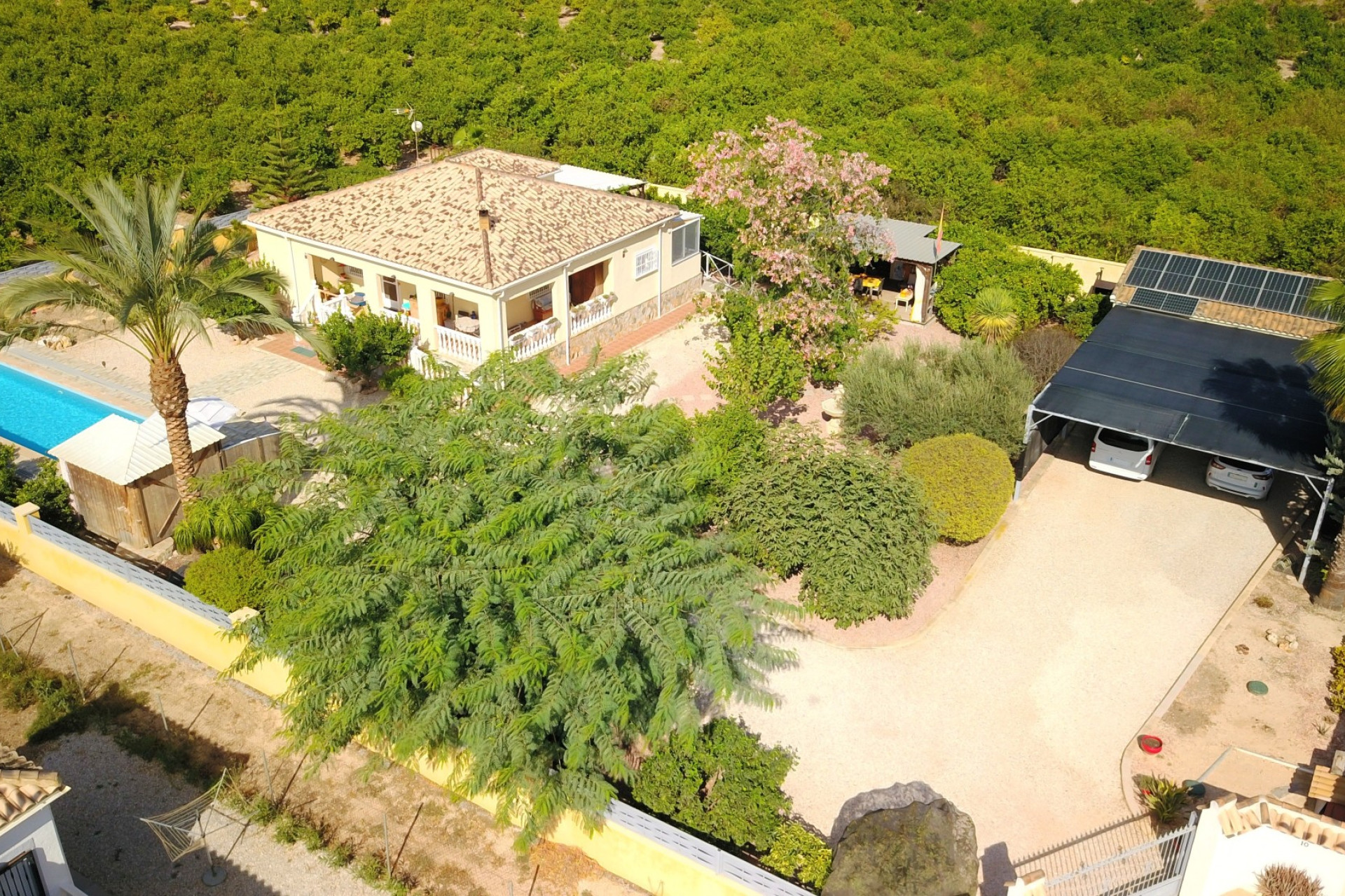 Reventa - 7. Finca - Orihuela - Costa Blanca Sur