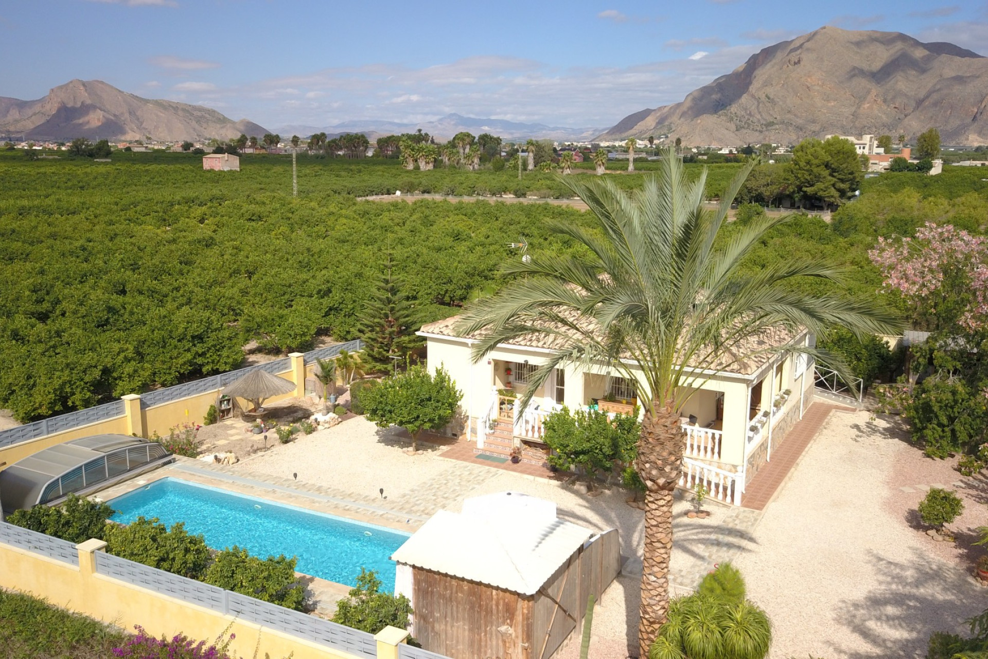 Reventa - 7. Finca - Orihuela - Costa Blanca Sur