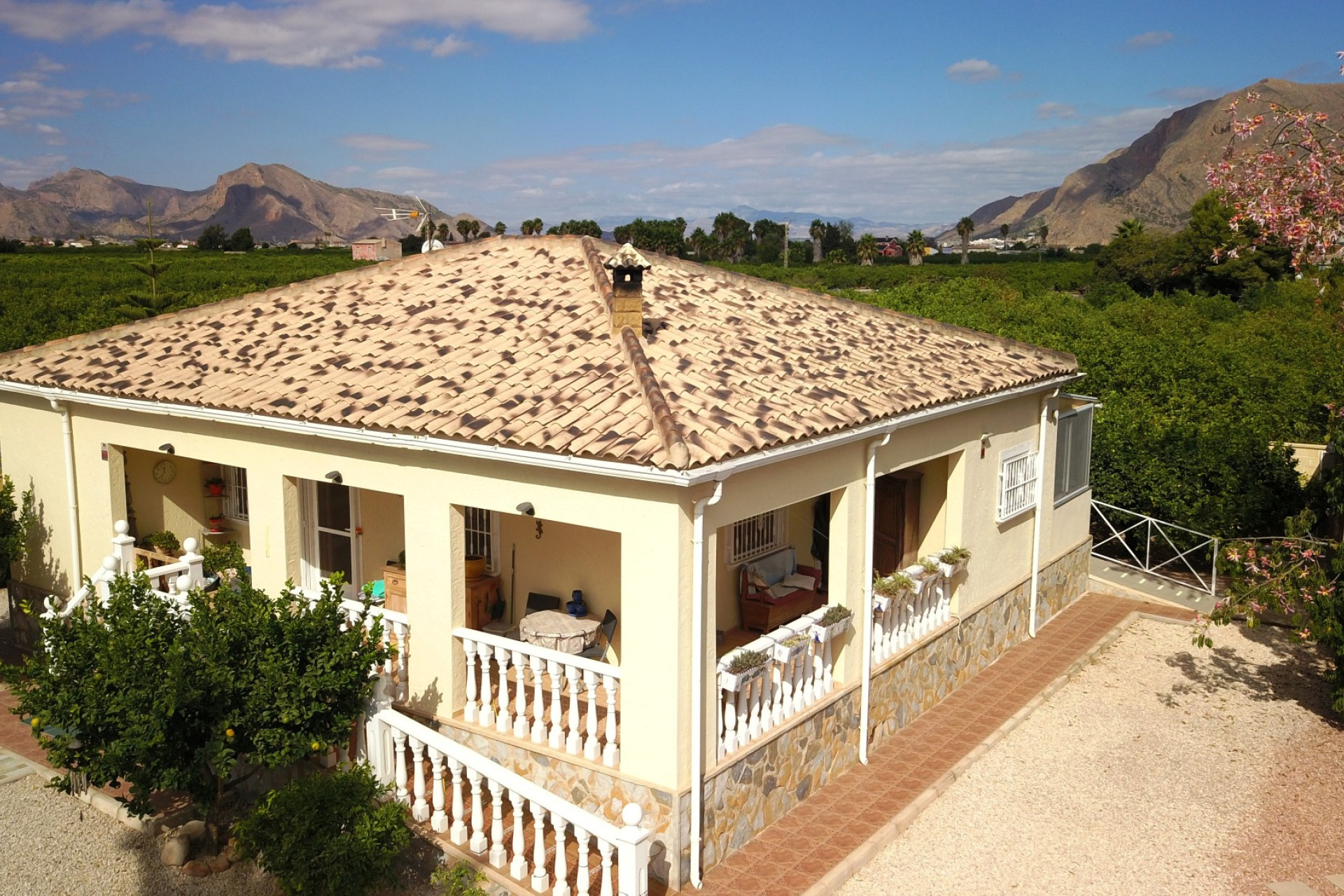 Reventa - 7. Finca - Orihuela - Costa Blanca Sur