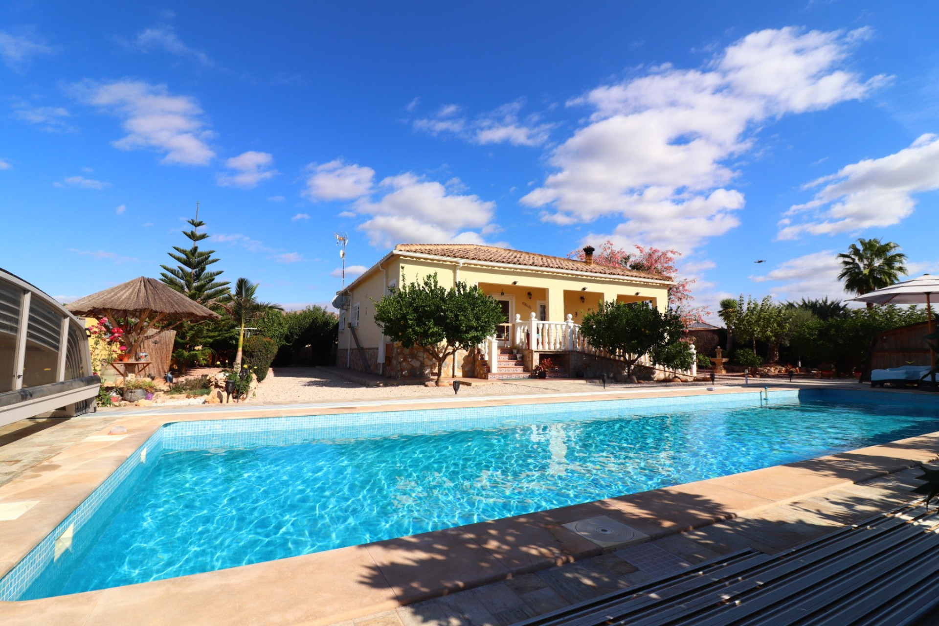 Reventa - 7. Finca - Orihuela - Costa Blanca Sur