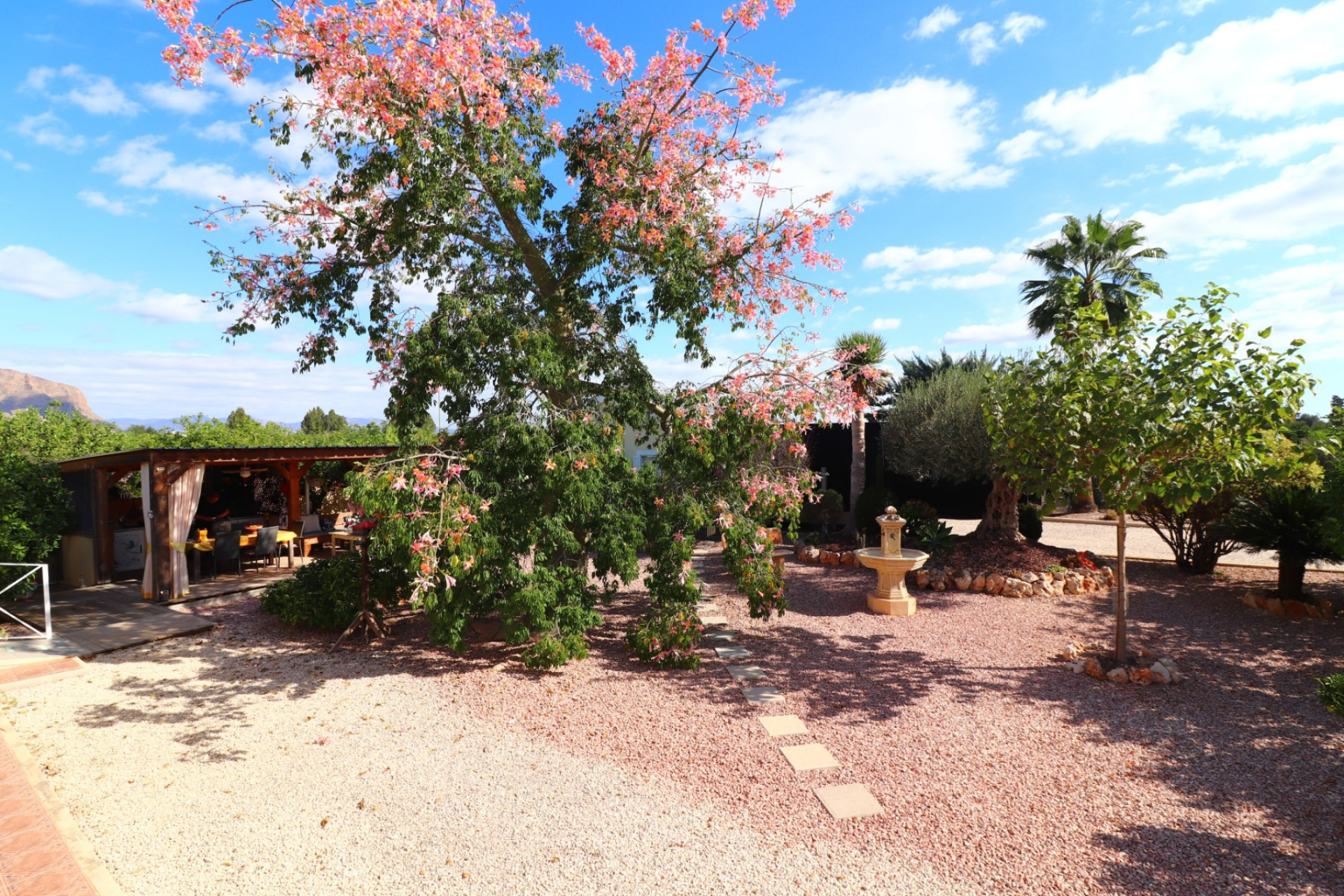 Reventa - 7. Finca - Orihuela - Costa Blanca Sur