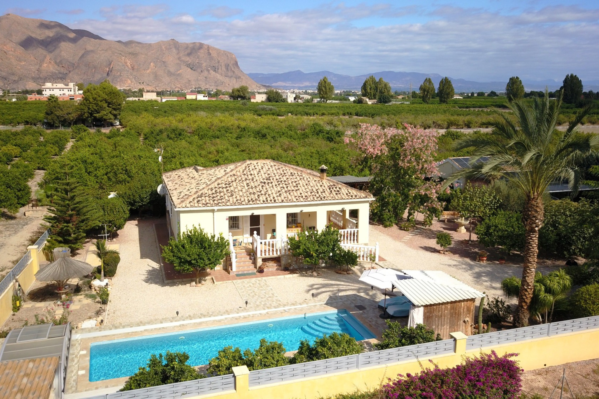 Reventa - 7. Finca - Orihuela - Costa Blanca Sur