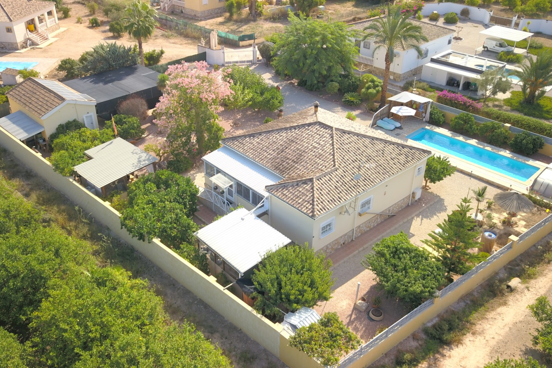 Reventa - 7. Finca - Orihuela - Costa Blanca Sur