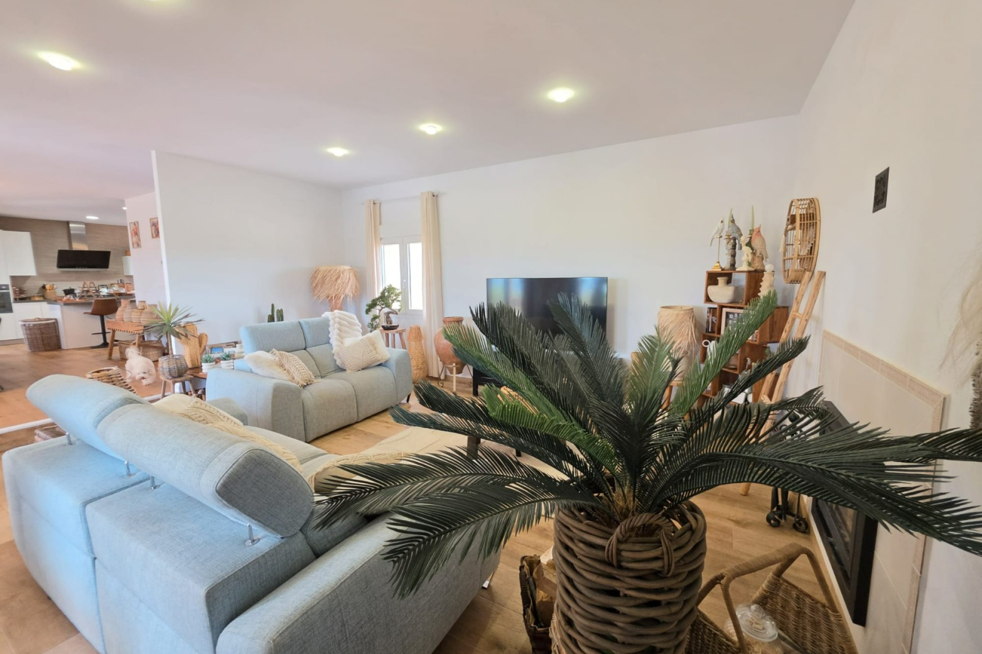 Reventa - 7. Finca - Pinoso - Pinoso - Country