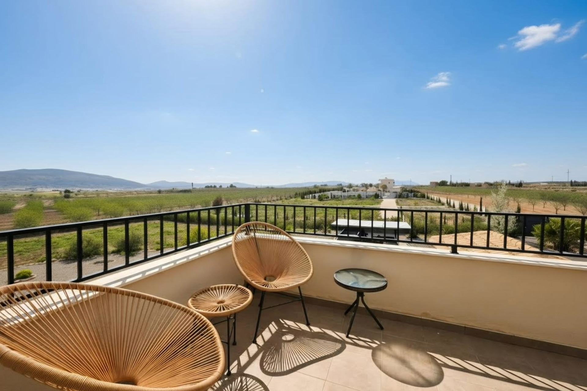 Reventa - 7. Finca - Pinoso - Pinoso - Country