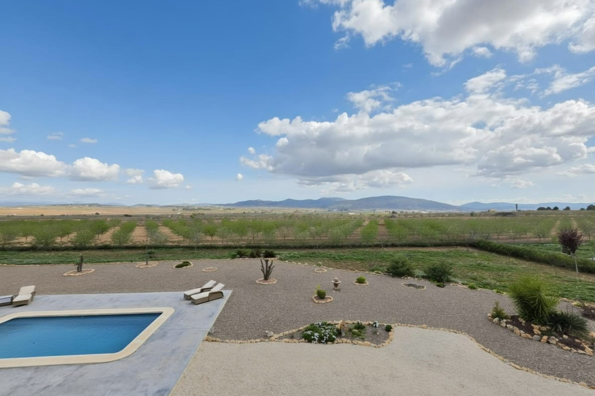 Reventa - 7. Finca - Pinoso - Pinoso - Country