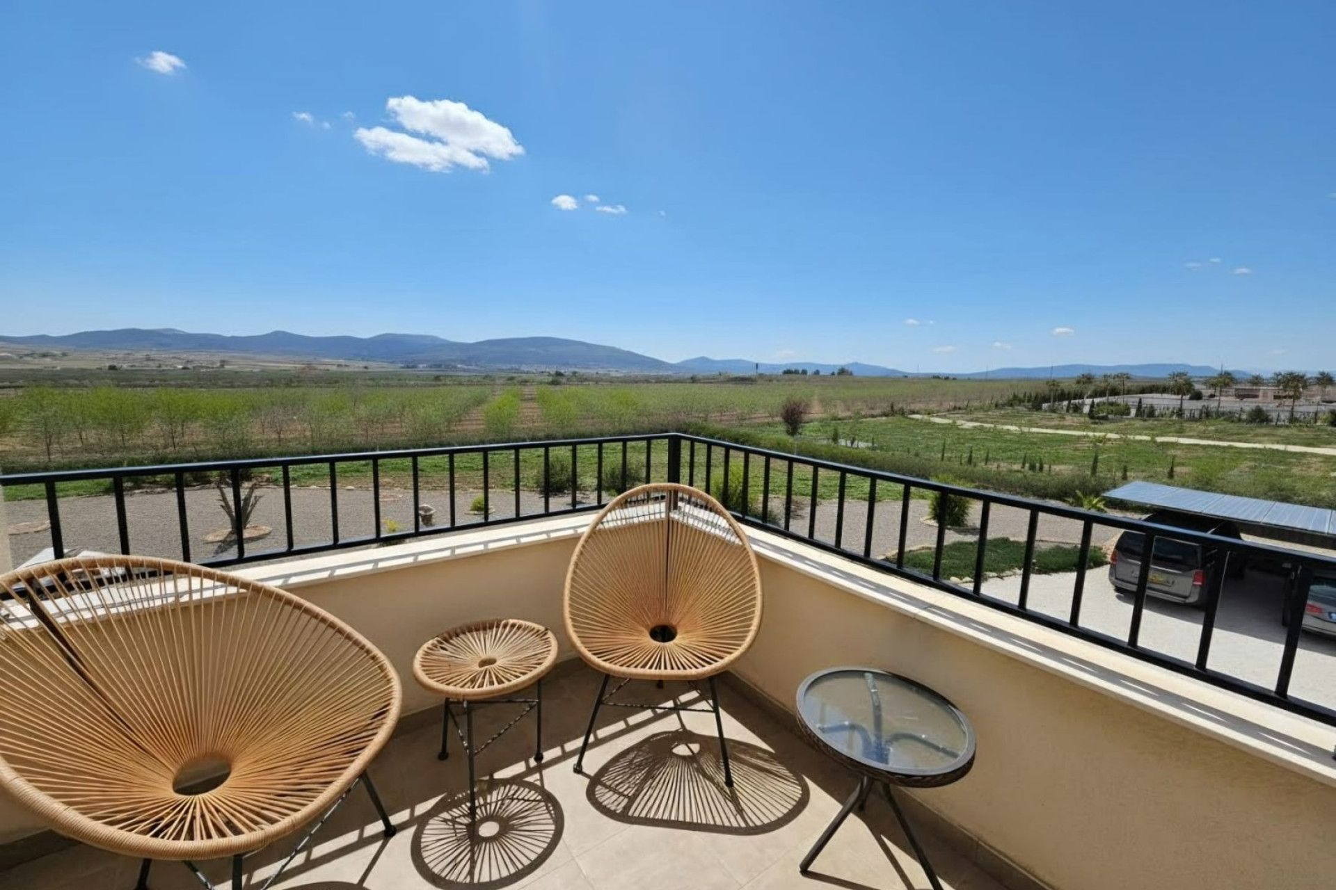 Reventa - 7. Finca - Pinoso - Pinoso - Country