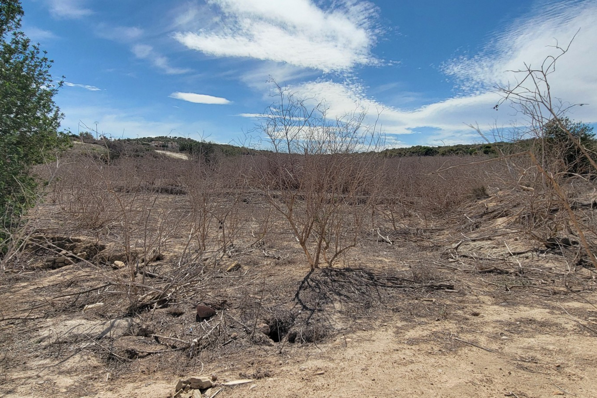 Reventa - 7. Finca - San Miguel de Salinas - Costa Blanca Sur