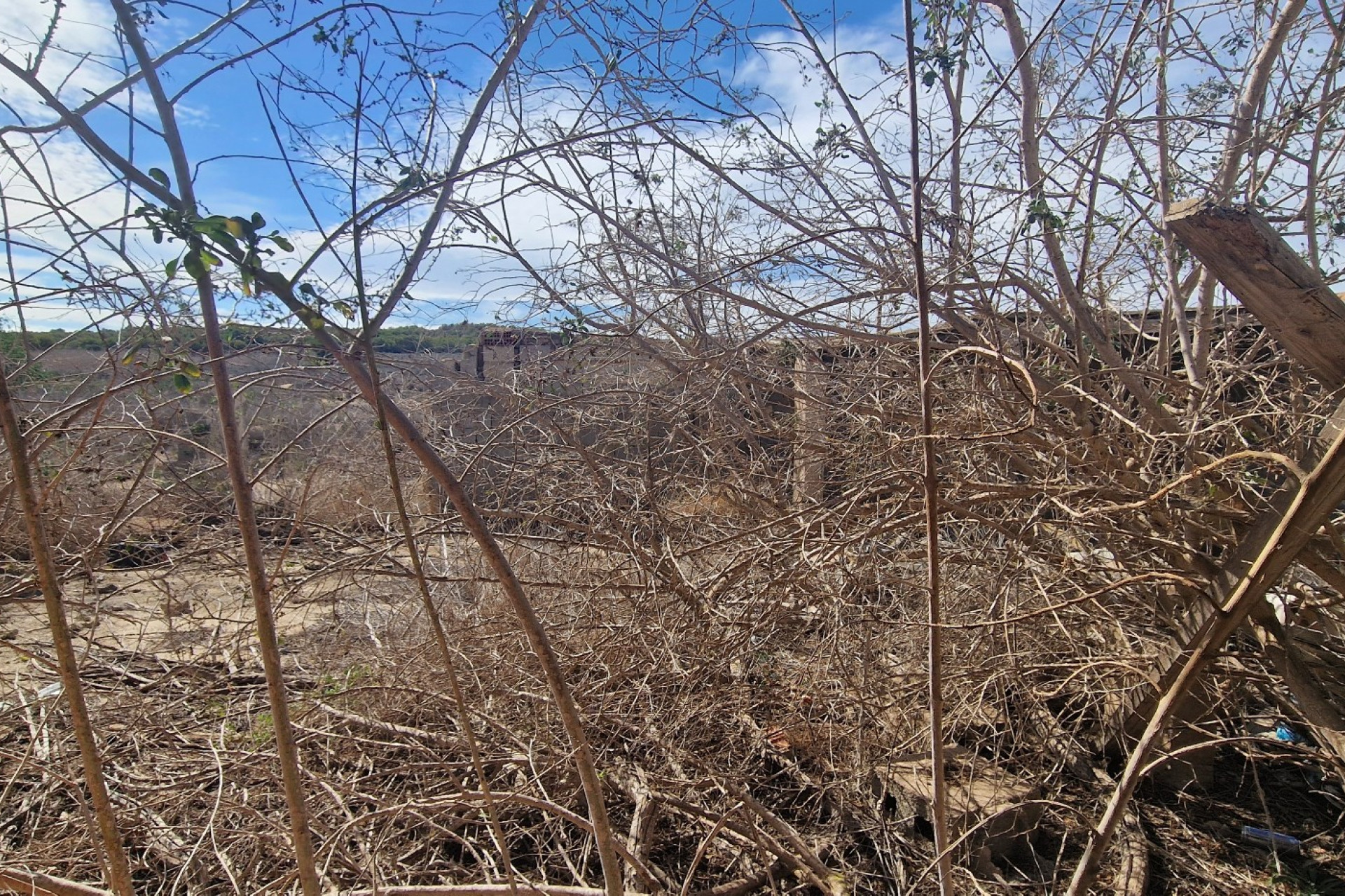 Reventa - 7. Finca - San Miguel de Salinas - Costa Blanca Sur