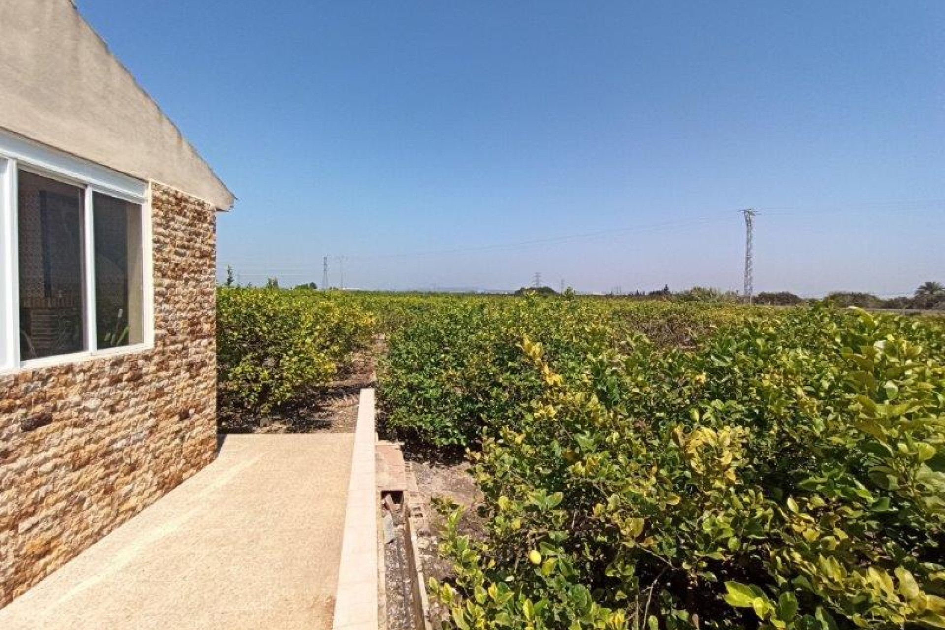 Reventa - 7. Finca - San Miguel de Salinas - Costa Blanca Sur