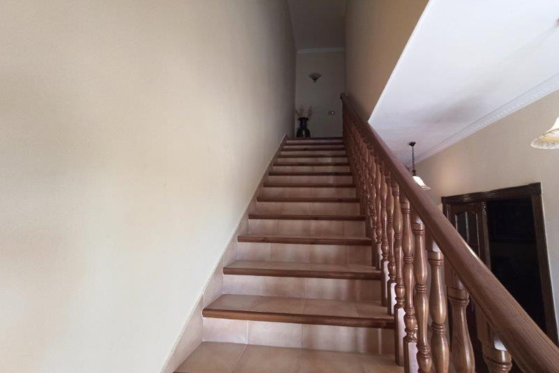 Reventa - 7. Finca - San Miguel de Salinas - Costa Blanca Sur