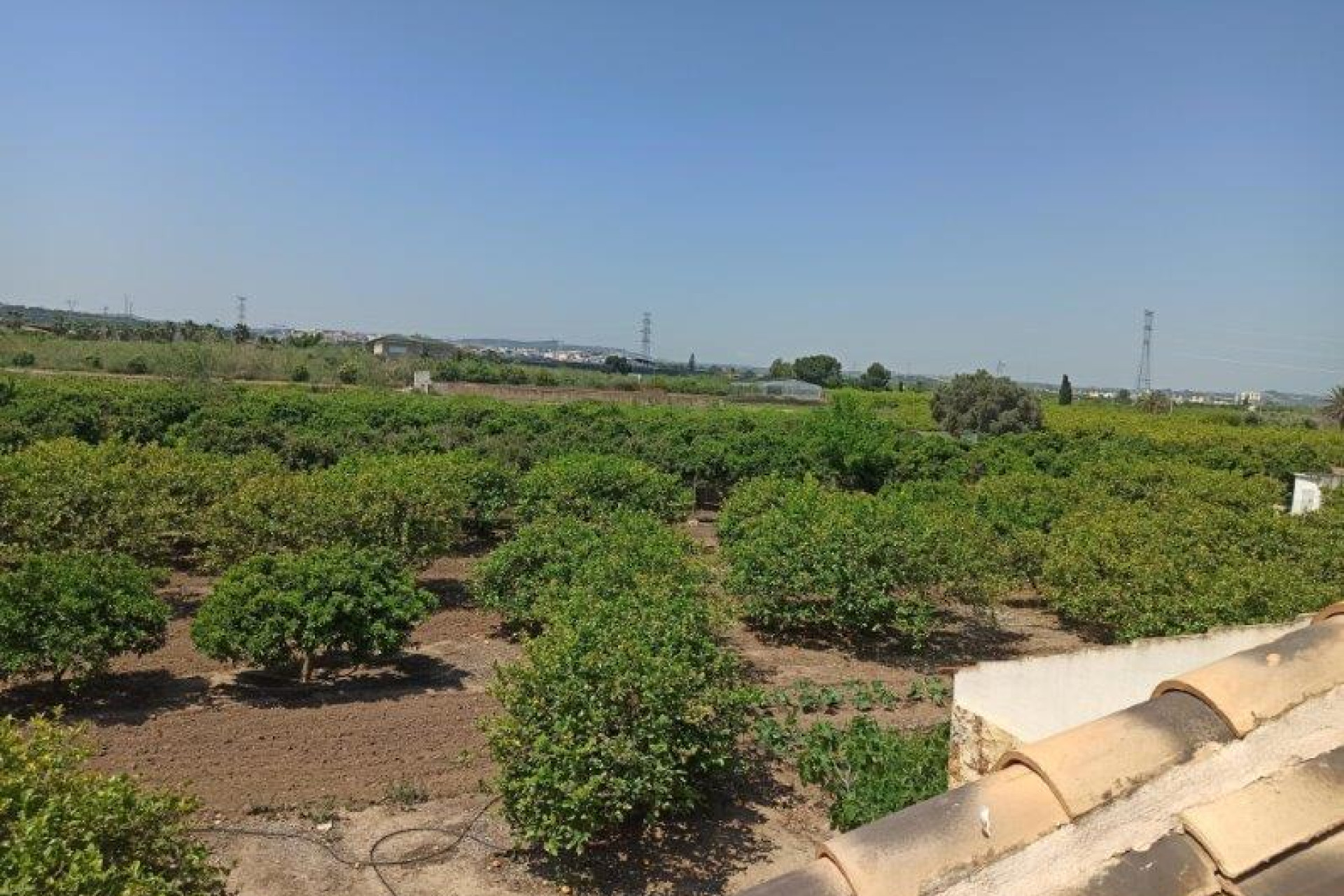 Reventa - 7. Finca - San Miguel de Salinas - Costa Blanca Sur