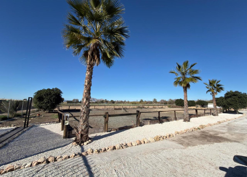 Reventa - Terreno edificable - Algorfa - Costa Blanca Sur