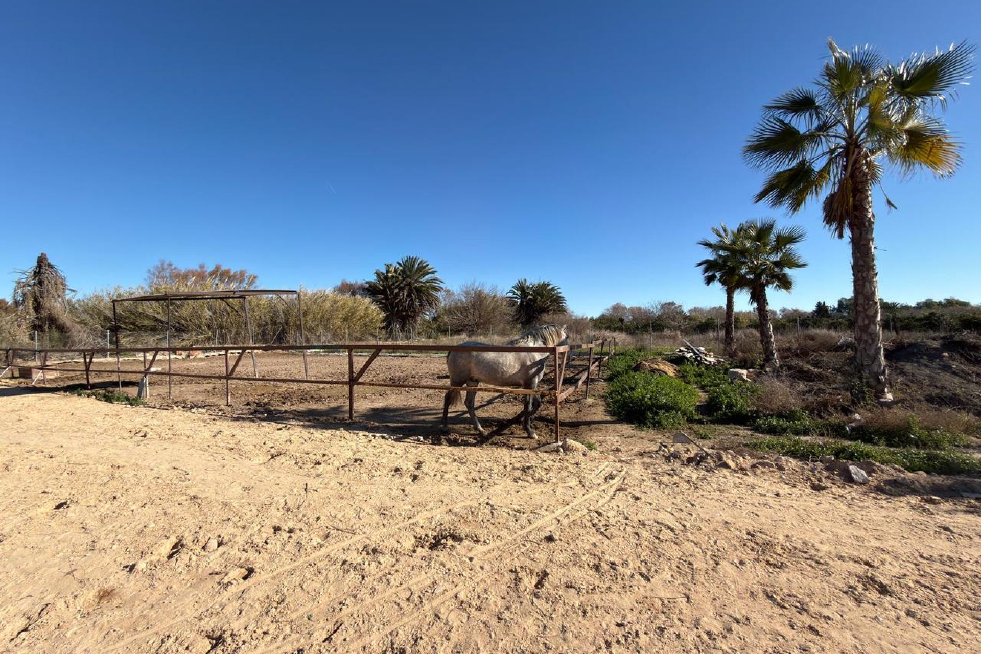 Reventa - Terreno edificable - Algorfa - Costa Blanca Sur