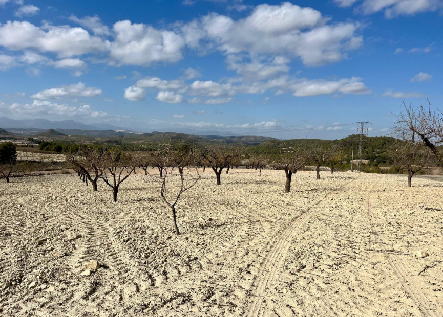 Reventa - Terreno edificable - Bullas - Costa Calida