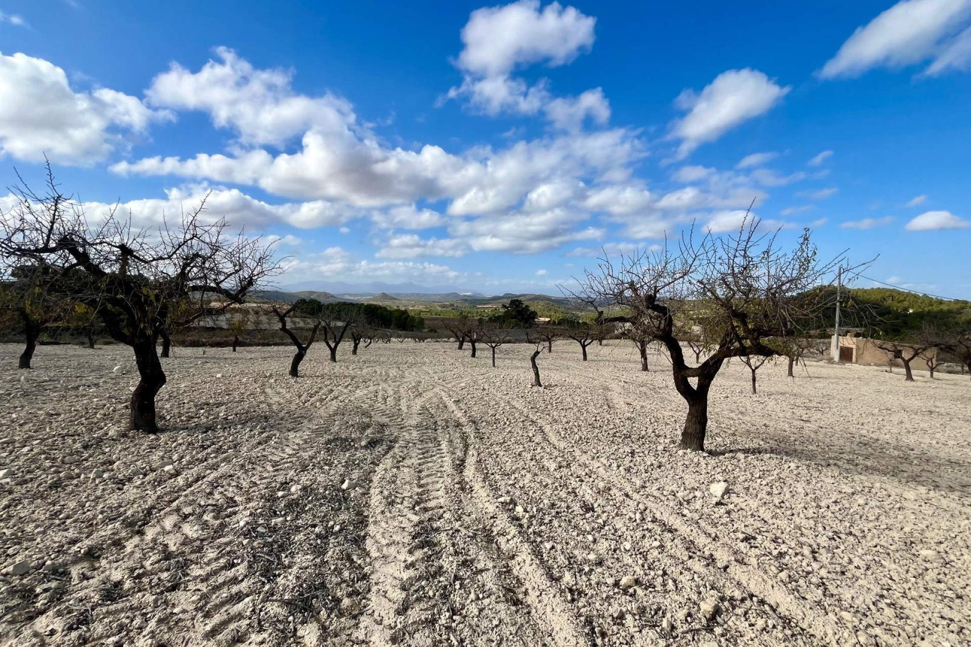 Reventa - Terreno edificable - Bullas - Costa Calida