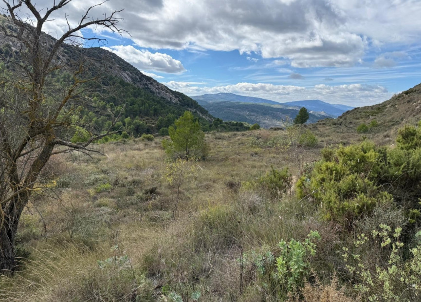 Reventa - Terreno edificable - Confrides - Barranc de Xarquera