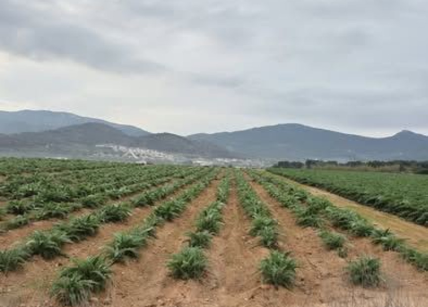 Reventa - Terreno edificable - Hondón de las Nieves - Costa Blanca Sur