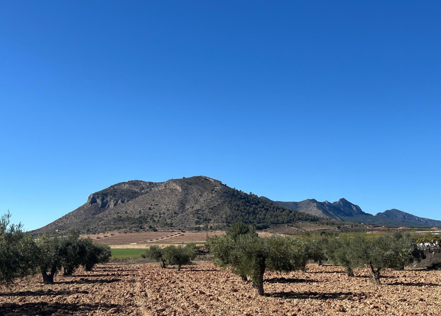 Reventa - Terreno edificable - La Romana - Costa Blanca Norte 