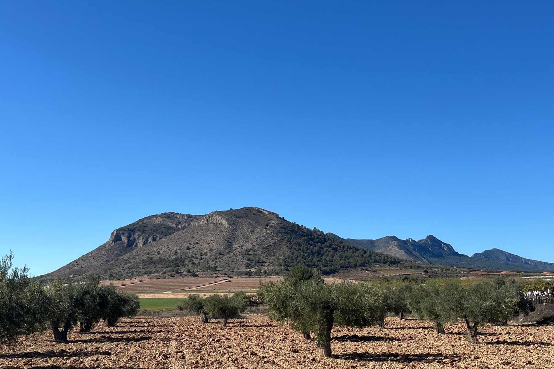 Reventa - Terreno edificable - La Romana - Costa Blanca Norte 