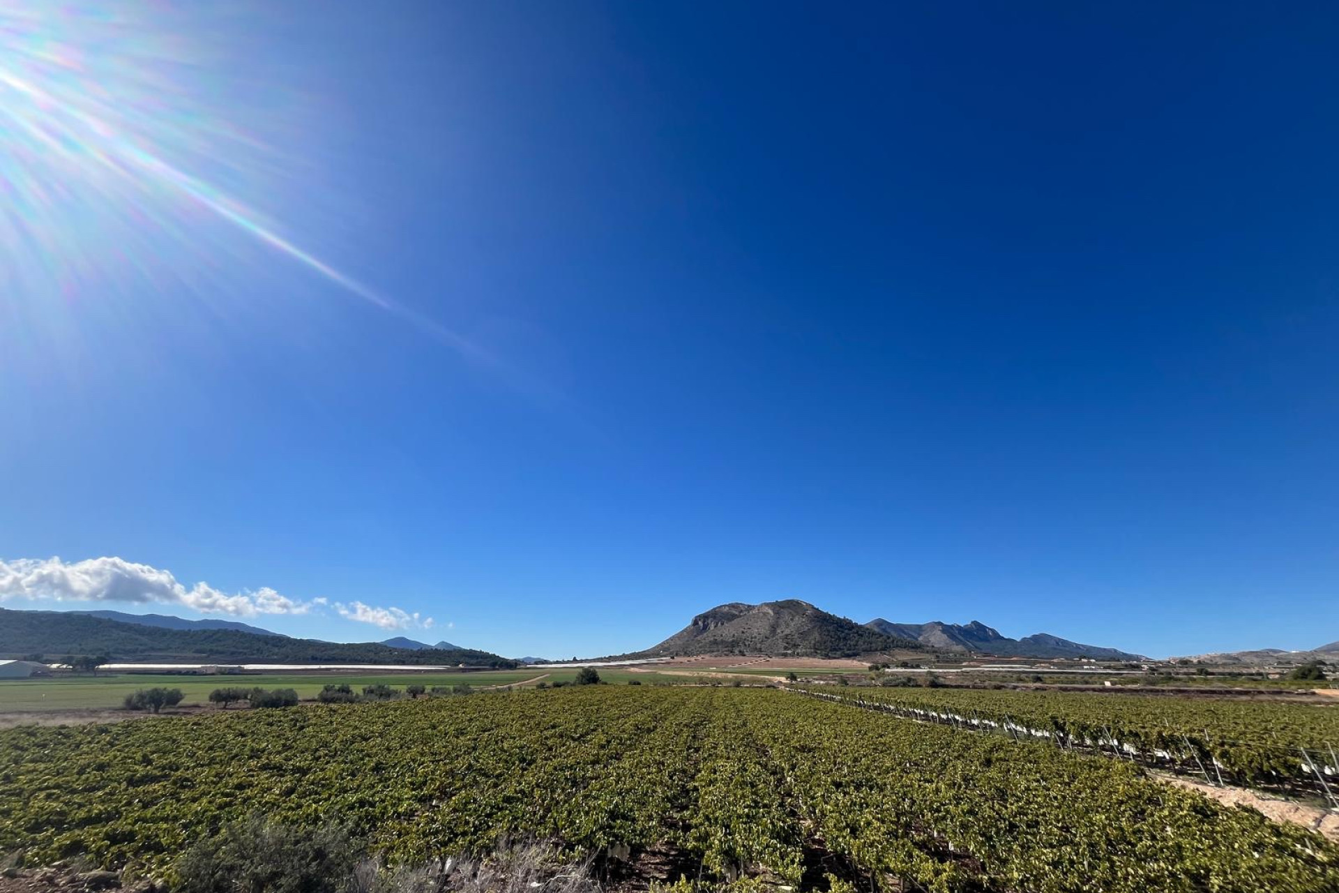 Reventa - Terreno edificable - La Romana - Costa Blanca Norte 