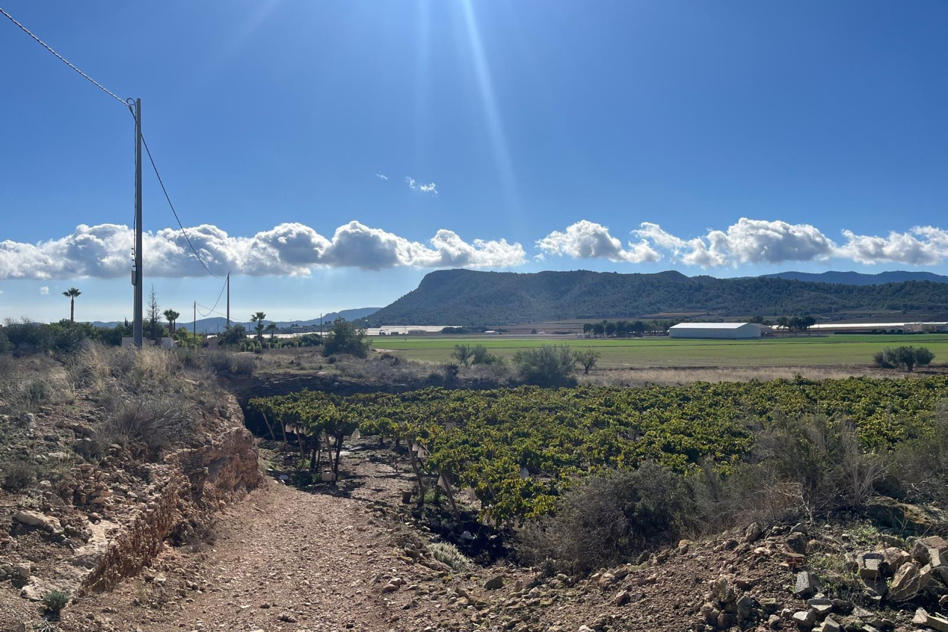 Reventa - Terreno edificable - La Romana - Costa Blanca Norte 