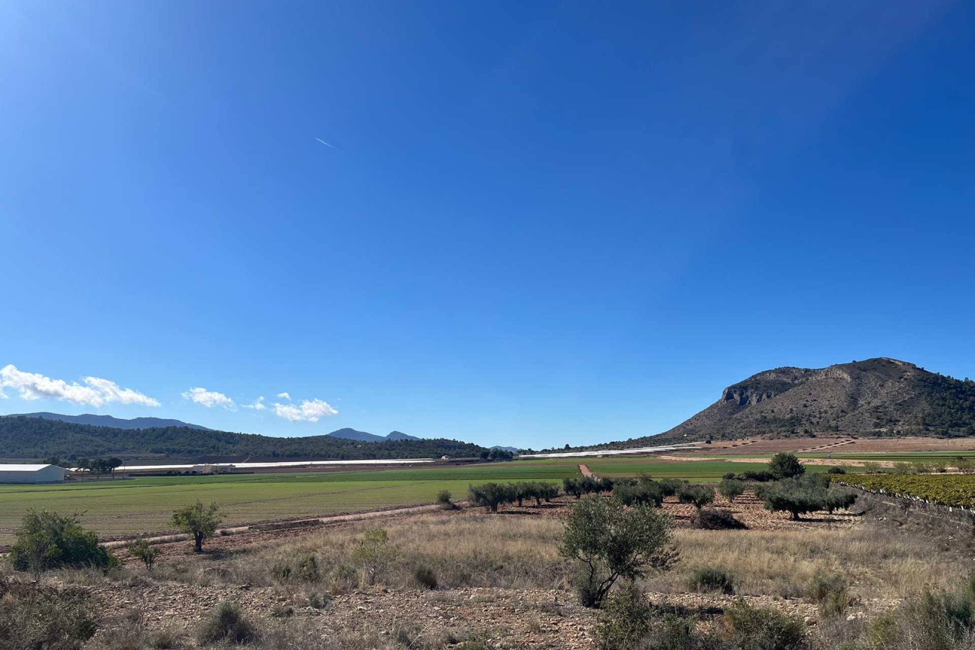 Reventa - Terreno edificable - La Romana - Costa Blanca Norte 