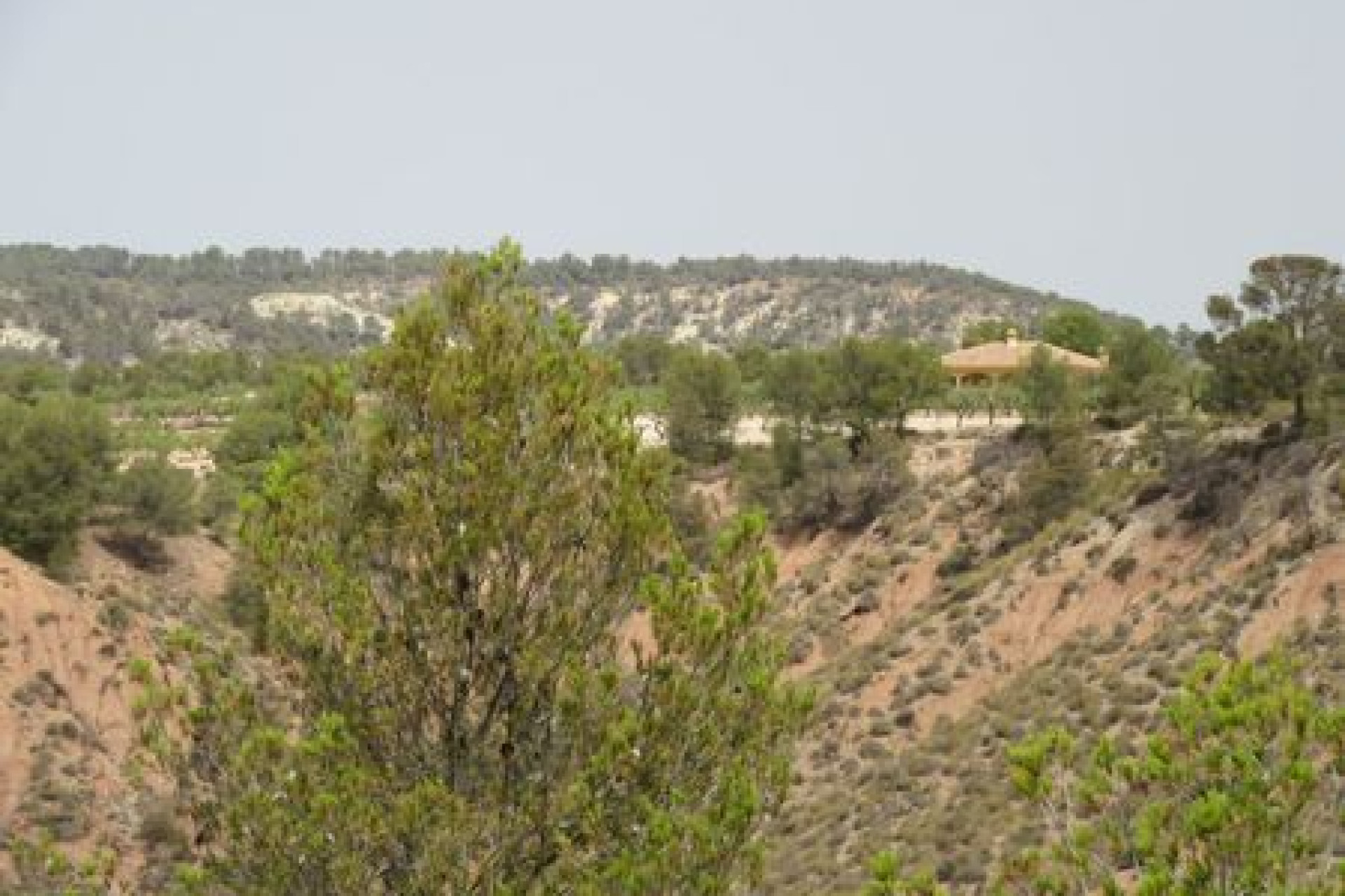 Reventa - Terreno edificable - Murcia - Costa Calida