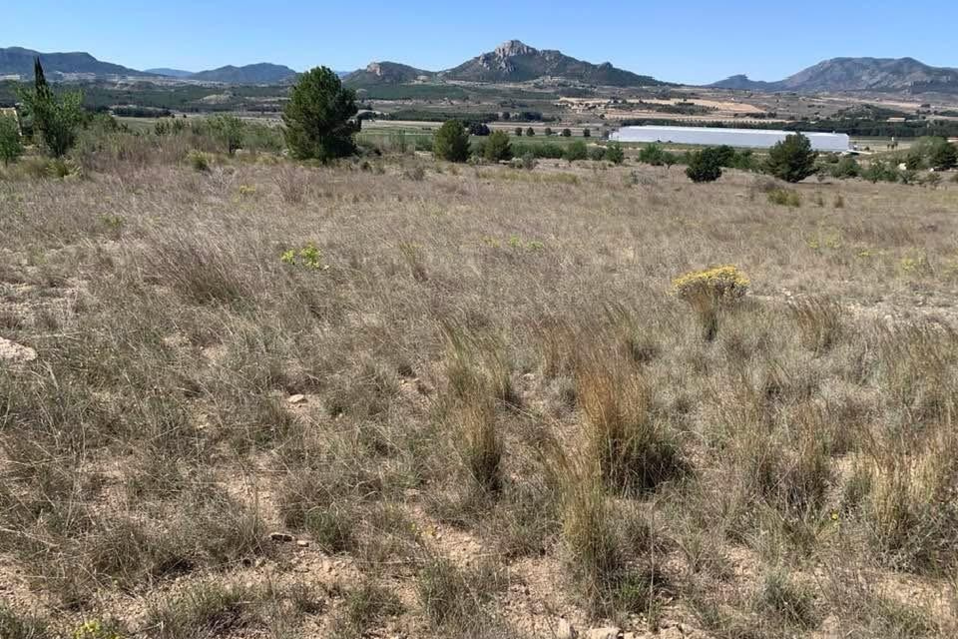 Reventa - Terreno edificable - Sax - Costa Blanca Norte 