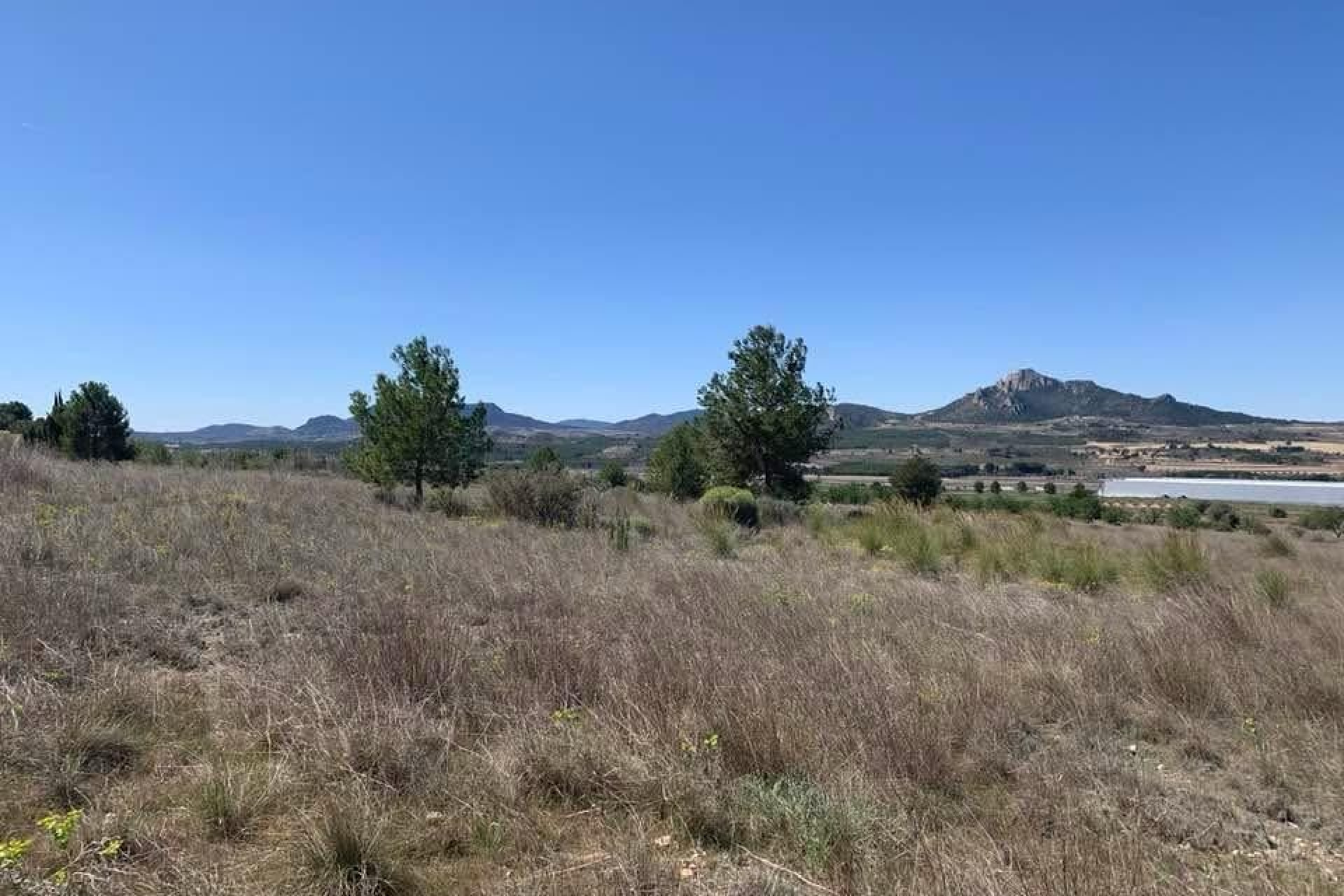 Reventa - Terreno edificable - Sax - Costa Blanca Norte 