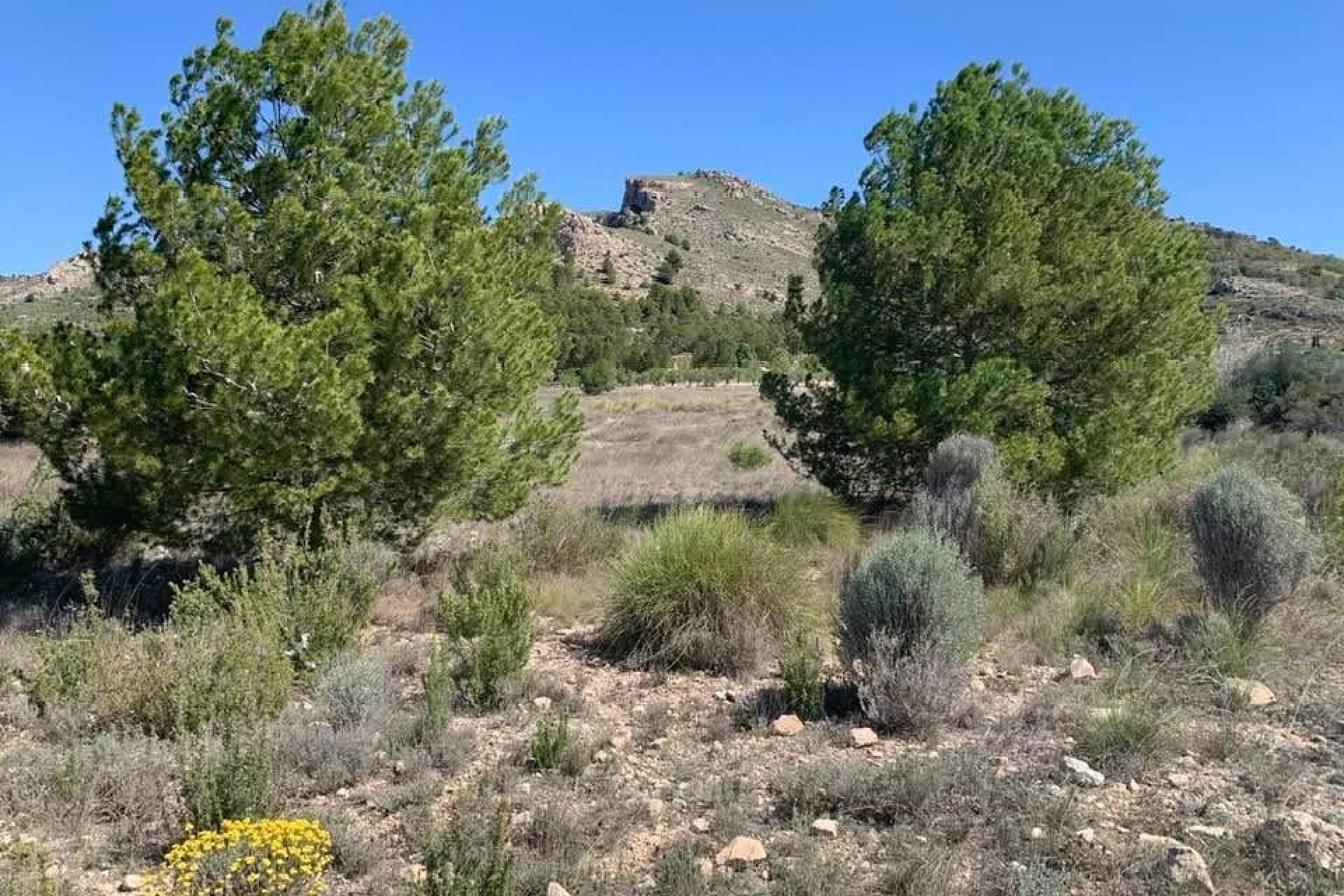 Reventa - Terreno edificable - Sax - Costa Blanca Norte 