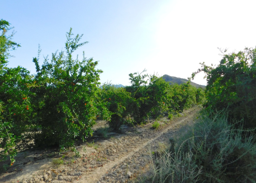 Reventa - Terreno edificable - Torremendo - Costa Blanca Sur