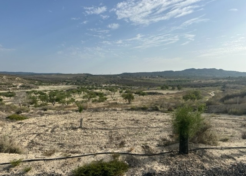 Reventa - Terreno edificable - Torremendo - Costa Blanca Sur