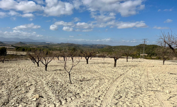 Terreno edificable - Reventa - Bullas - Costa Calida