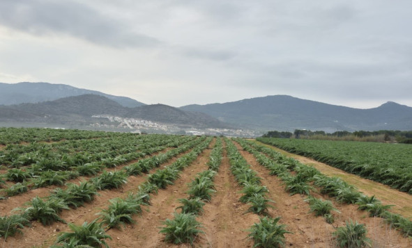Terreno edificable - Reventa - Hondón de las Nieves - Costa Blanca Sur