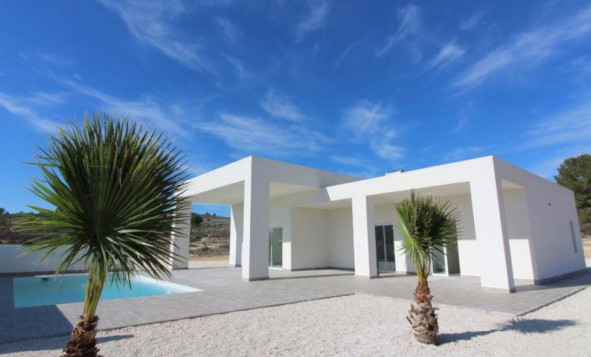 Villa - New Build - Pinoso - Pinoso