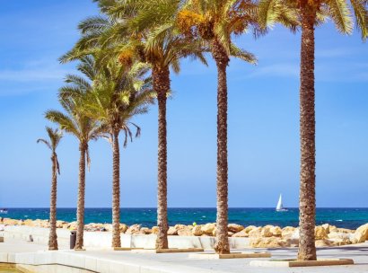 Costa Blanca Zuid