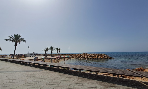 Reventa - Apartment - Torrevieja