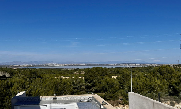 Resale - Villa - Villamartin - Orihuela Costa