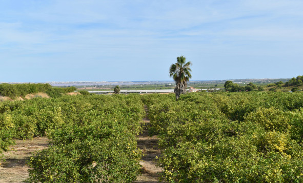 Resale - 4. House - Detached Villa - Torremendo - Orihuela