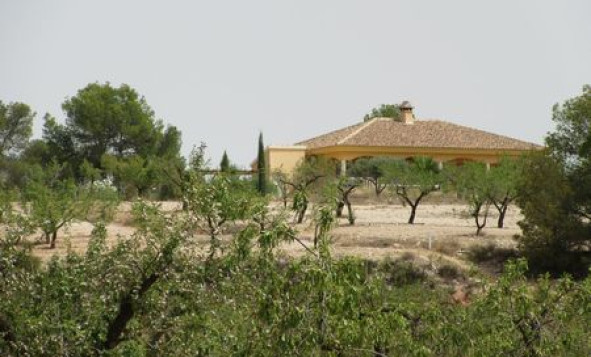 Reventa - Building Plot - Murcia