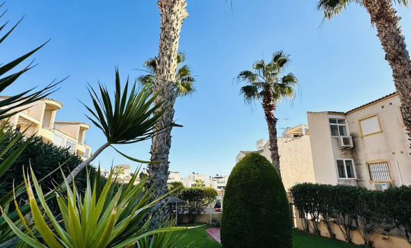 Herverkoop - Appartement - Punta Prima - Orihuela Costa