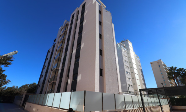 Resale - Apartment - Guardamar del Segura - Guardamar