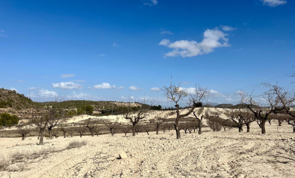 Herverkoop - Building Plot - Bullas - Costa Calida