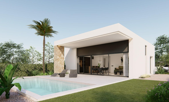 New Build - 4. House - Detached Villa - Molina De Segura - Murcia