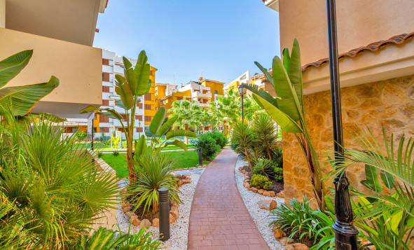 Herverkoop - Appartement - Torrevieja - Orihuela Costa