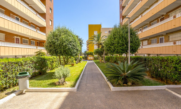 Resale - Apartment - Torrevieja - Orihuela Costa