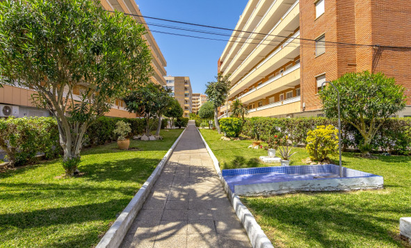 Resale - Apartment - Torrevieja - Orihuela Costa