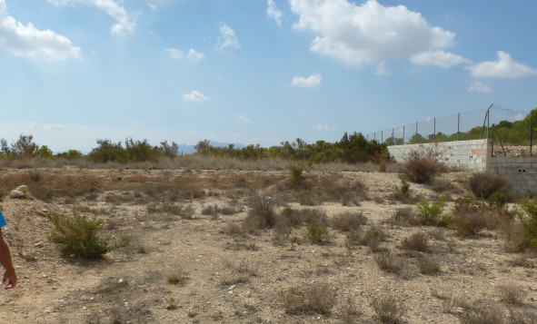 Reventa - Building Plot - Crevillente - Orihuela